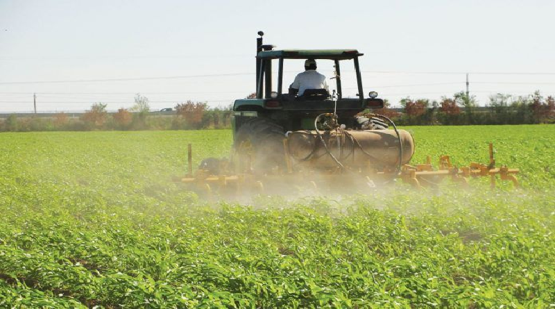 El presidente de Agrofanb presenta el Plan Productivo 2025